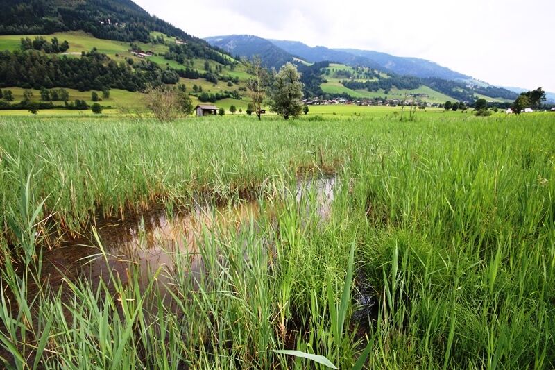 Oberpinzgau