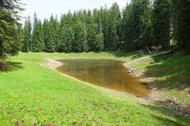 Ameisensee